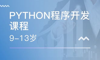 重慶南坪軟件開發(fā)培訓指南 課程、選擇與職業(yè)發(fā)展